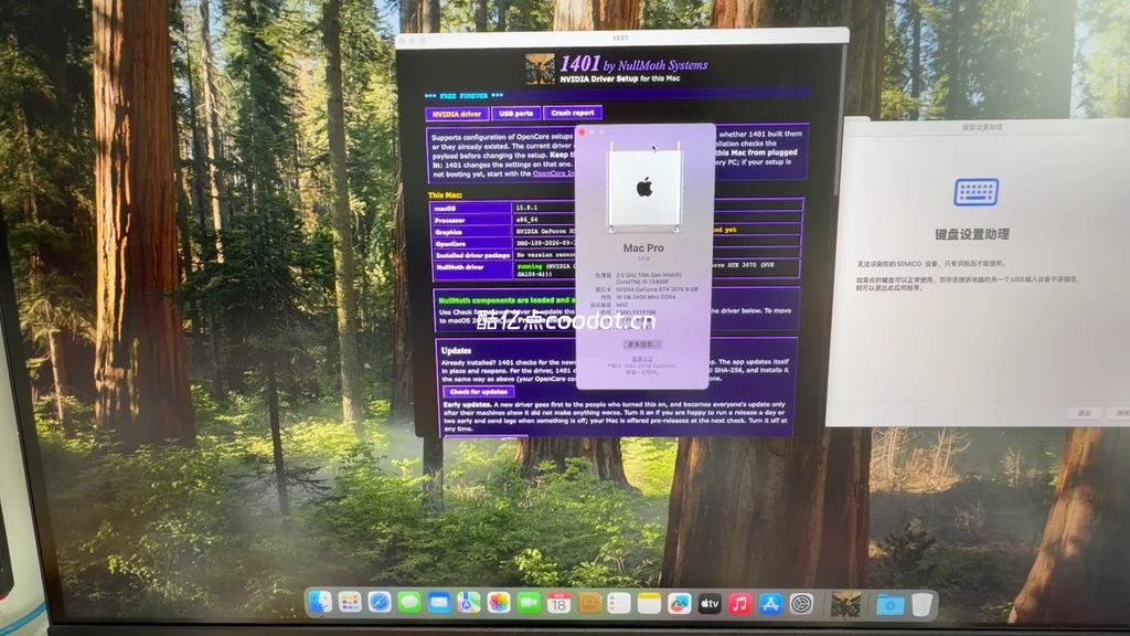 2026 黑苹果 NVIDIA 驱动教程：NullMoth + 1401 安装 MACOS 15/26全流程插图15